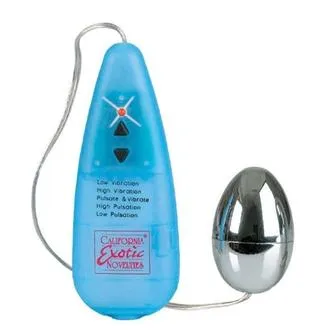 Vibrators Impulse Pocket Pak Silver Egg Seductucom Vibrators Impulse Pocket Pak Silver Egg Seductucom